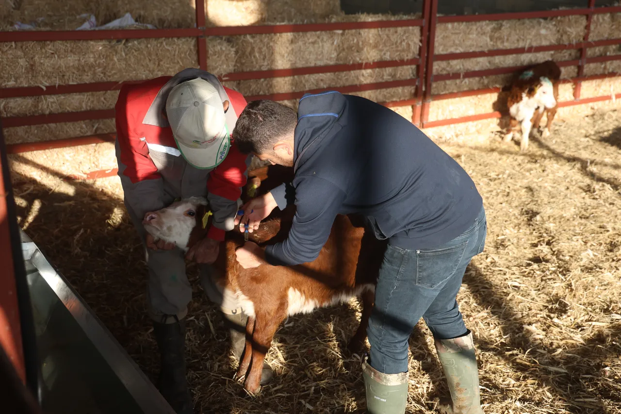 Mühendisliği bırakıp, devlet desteği ile patron oldu: Hiçbir zaman pişman olmayacağım bir iş