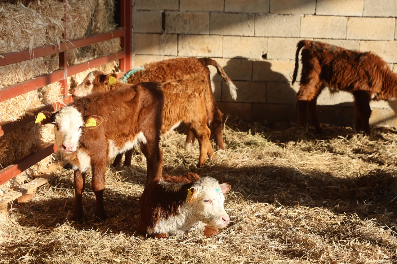 Mühendisliği bırakıp, devlet desteği ile patron oldu: Hiçbir zaman pişman olmayacağım bir iş