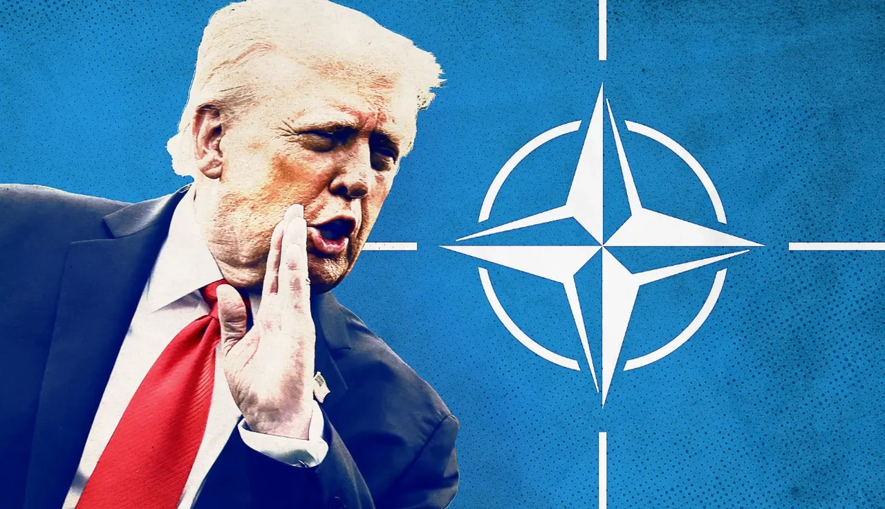 Trump'tan NATO'ya zehir zemberek 