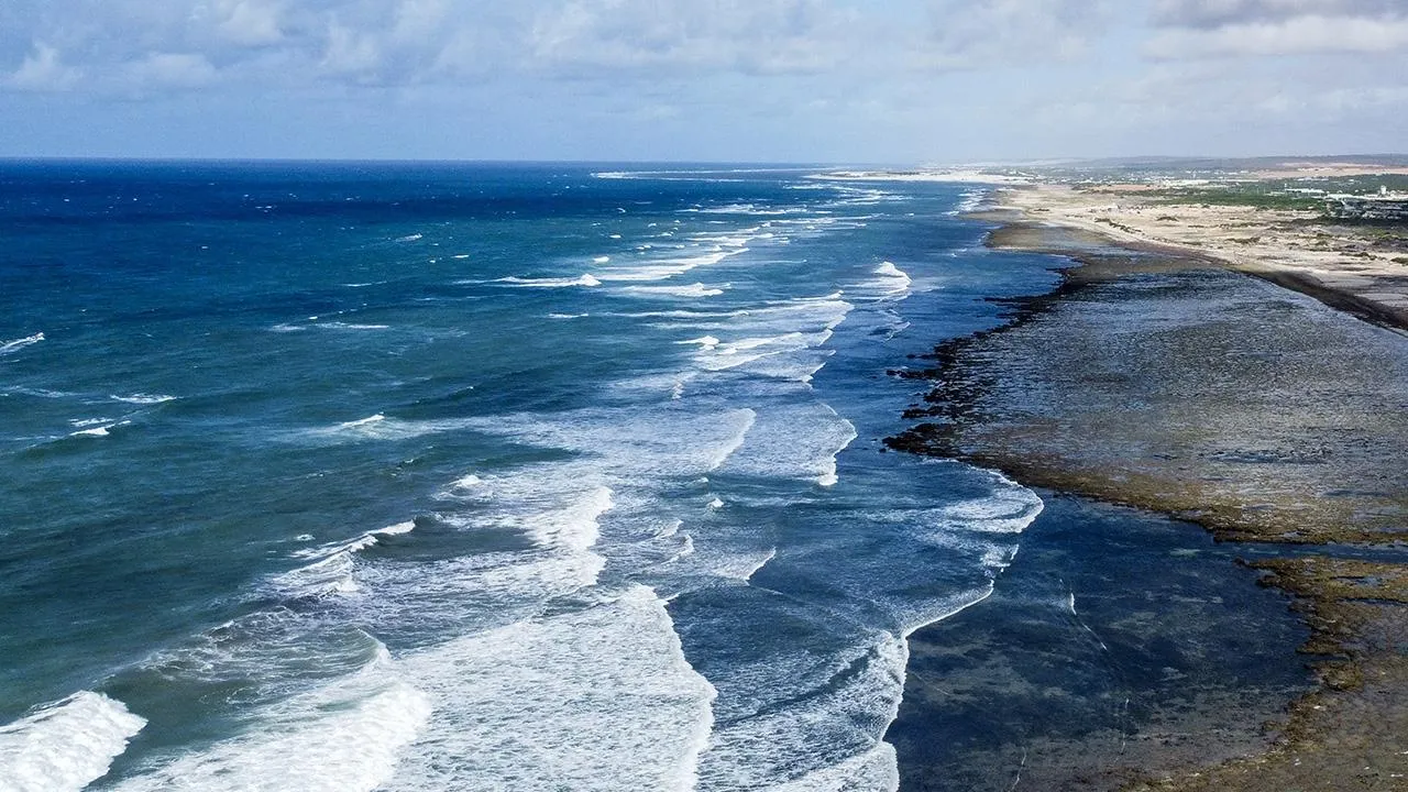 Türkiye, Hint Okyanusu Ton Balığı Komisyonu nezdinde “Gözlemci Ülke” statüsü kazandı