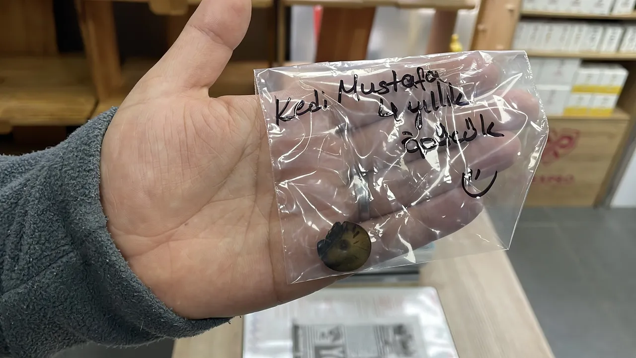 4 yıldır kusan kedinin karnından buzdolabı vakumu çıkarıldı