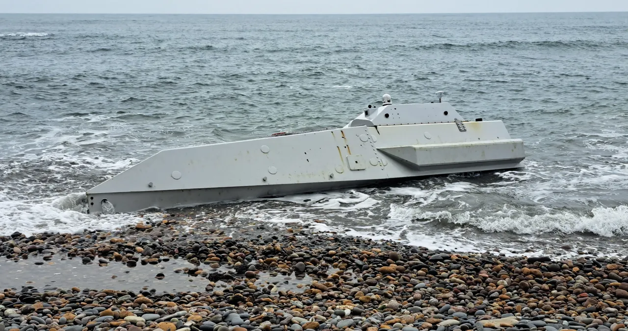 Görenler telefona sarıldı! Jandarma bölgeyi emniyete aldı