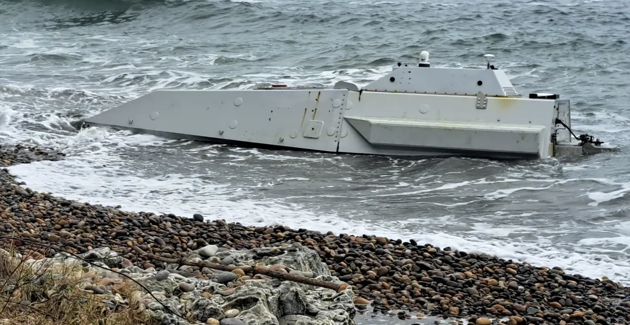 Görenler telefona sarıldı! Jandarma bölgeyi emniyete aldı