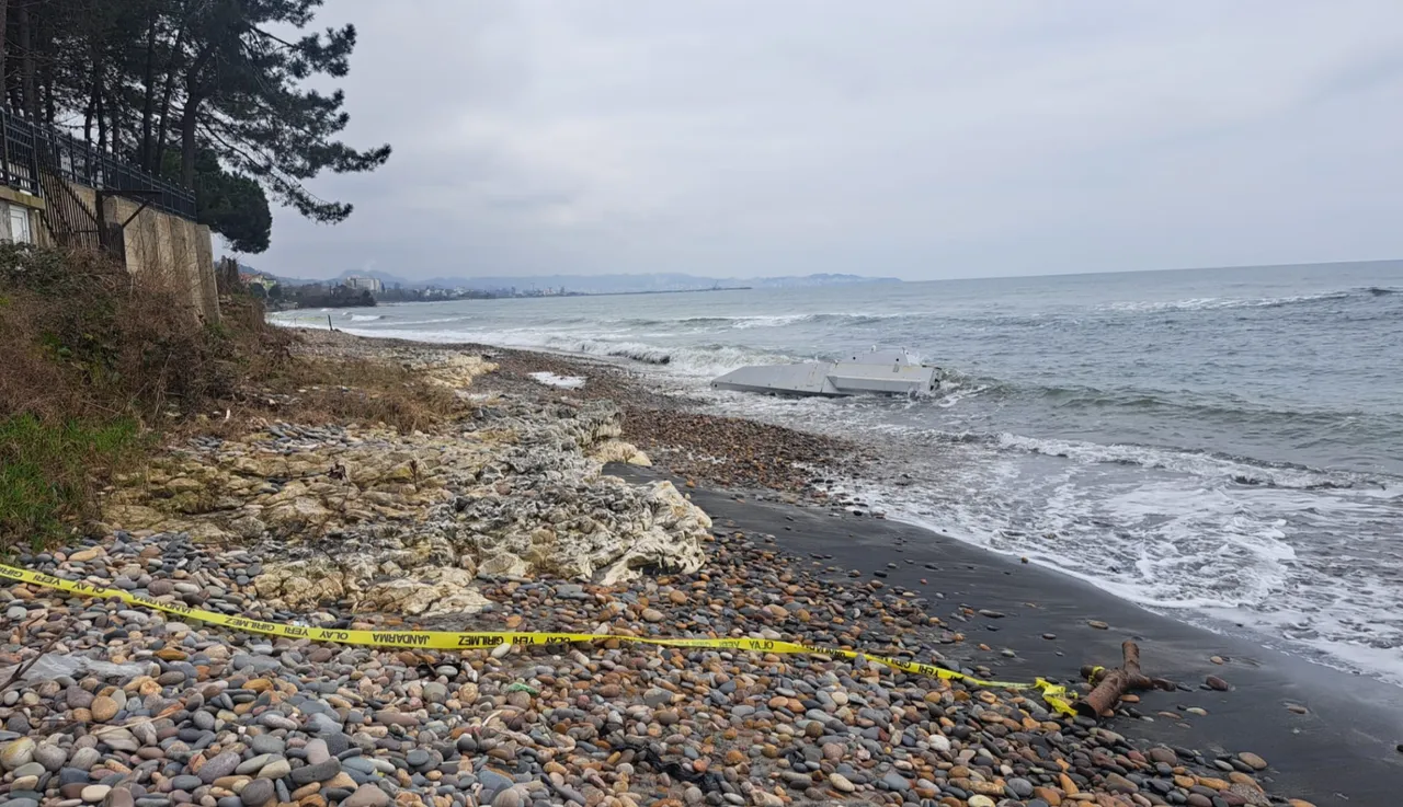 Görenler telefona sarıldı! Jandarma bölgeyi emniyete aldı