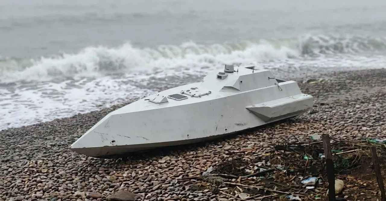 Görenler telefona sarıldı! Jandarma bölgeyi emniyete aldı