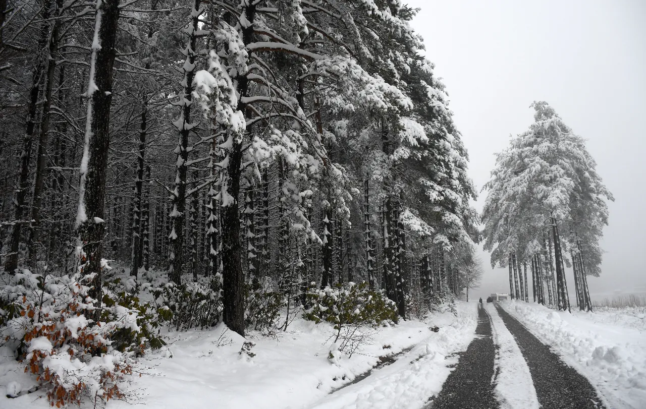 Görüntü İstanbul'un yanı başından! Kar yağışının ardından beyaza büründü