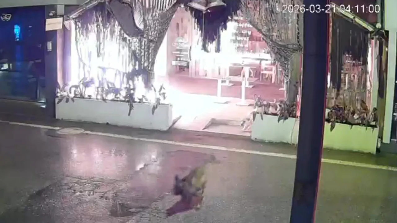 Kafeyi kundaklayıp kaçtı! Polis şüpheliyi arıyor