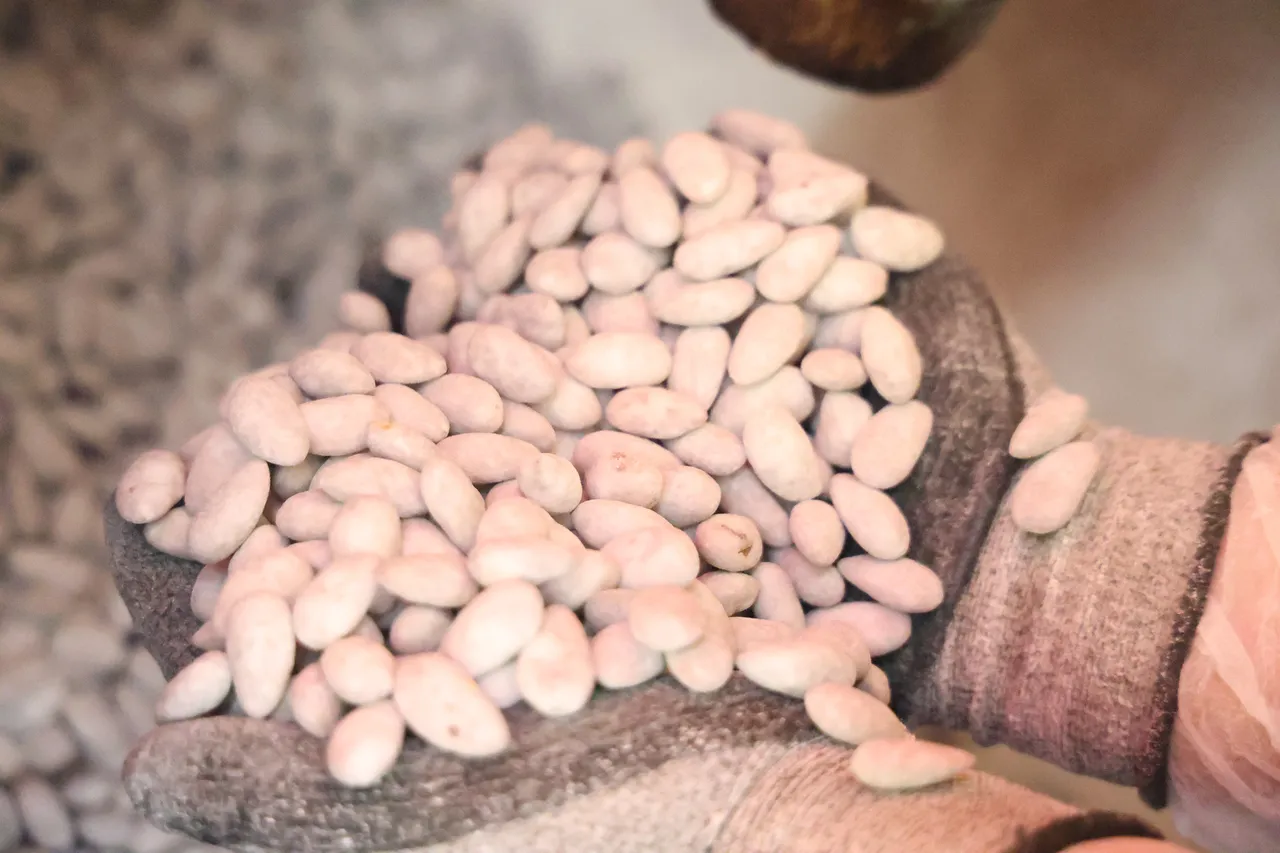 Kan şekerini dengeliyor! 'Beyaz altın' kilosu 500 liradan kapış kapış satılıyor