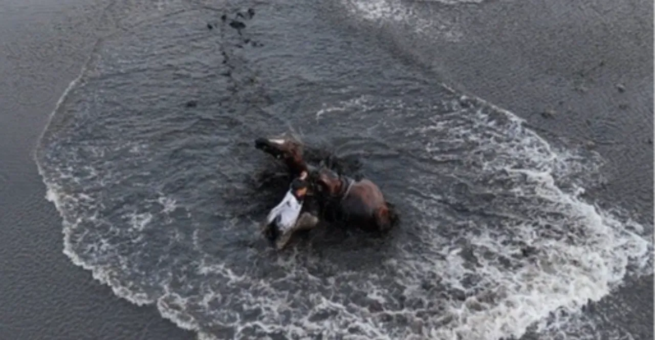 Kayseri'de atlı safari suda bitti! Atlar ve biniciler sazlığa böyle gömüldü