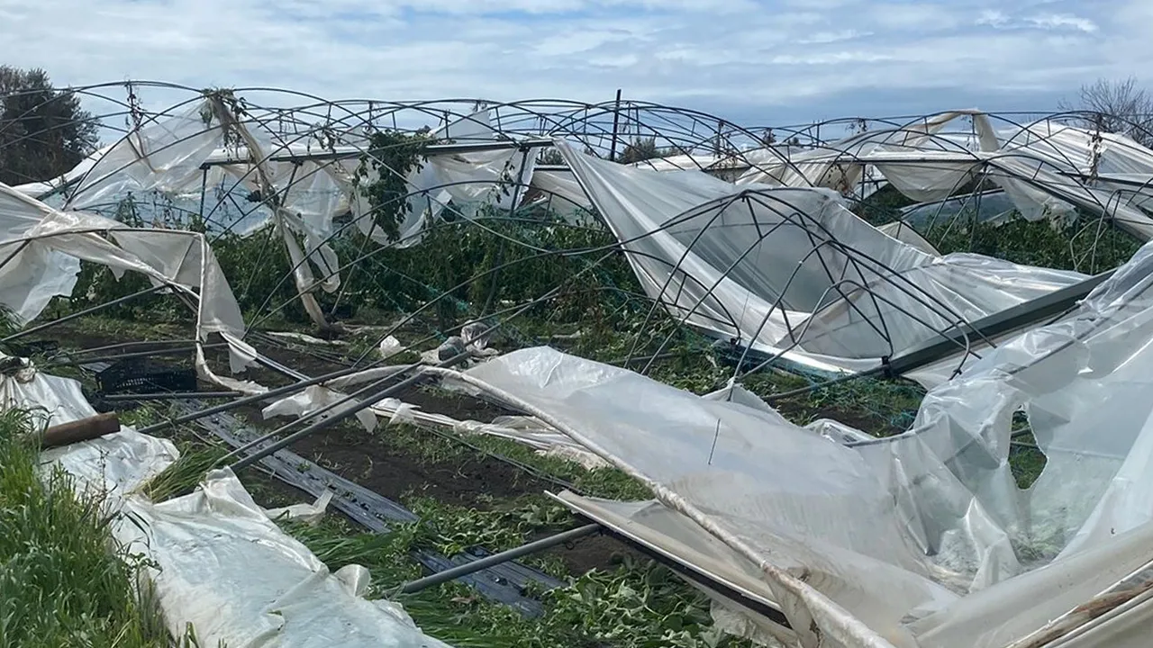 Mersin'de seraları dolu ve fırtına vurdu!