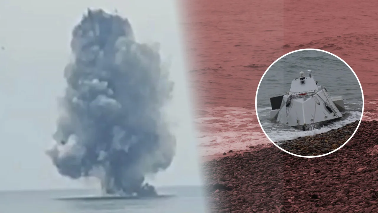 Ordu'da kıyıya vurmuştu! Denizde böyle imha edildi 