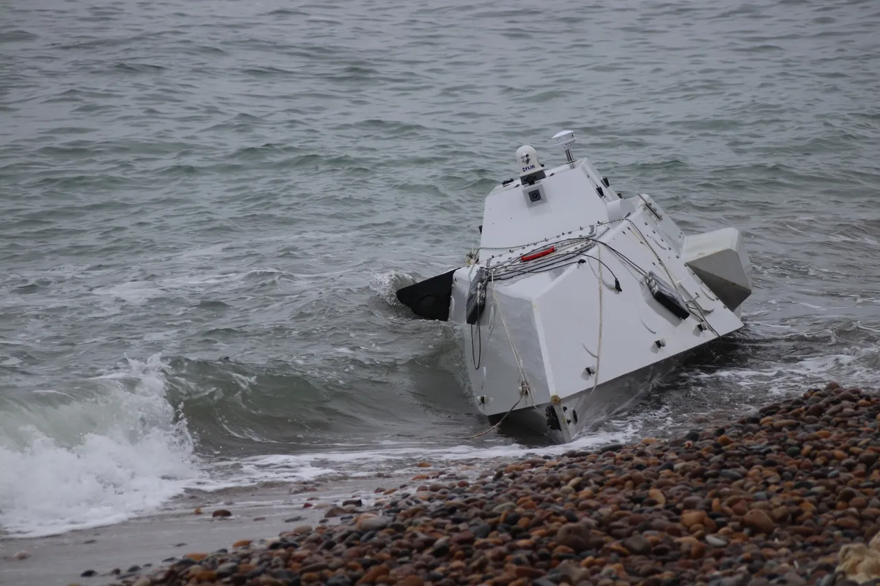 Ordu'da kıyıya vurmuştu! Denizde böyle imha edildi