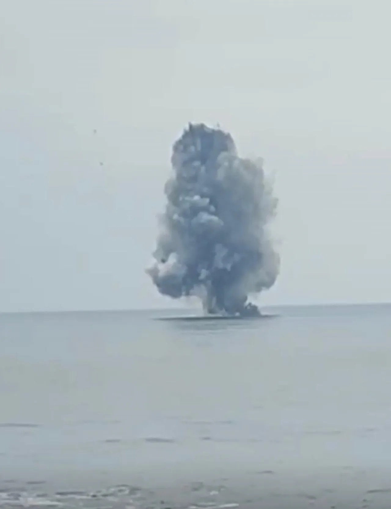 Ordu'da kıyıya vurmuştu! Denizde böyle imha edildi