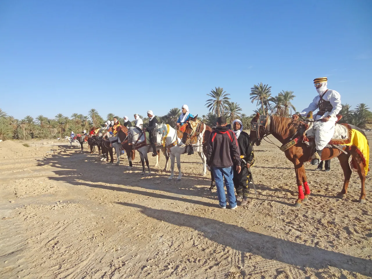 Ürküt, korkut, yönet! Kâhine