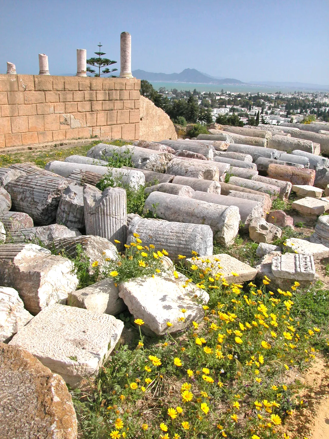 Ürküt, korkut, yönet! Kâhine