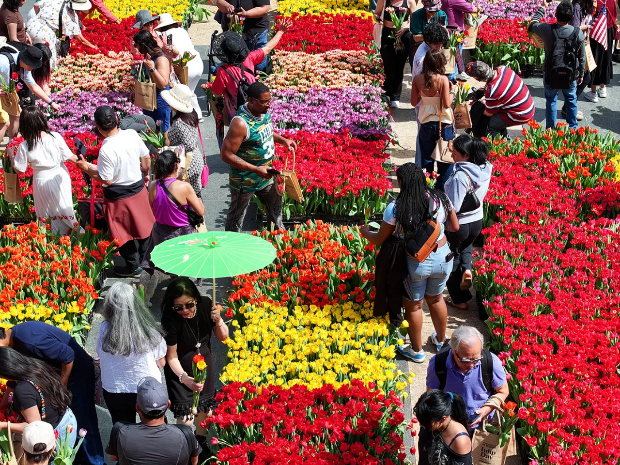 ABD’nin California eyaletindeki San Francisco kentinde bulunan Union Square’de, düzenlenen 