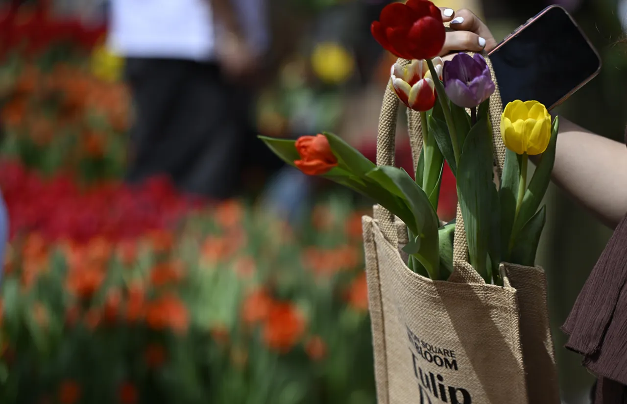 ABD’nin California eyaletindeki San Francisco kentinde bulunan Union Square’de, düzenlenen 