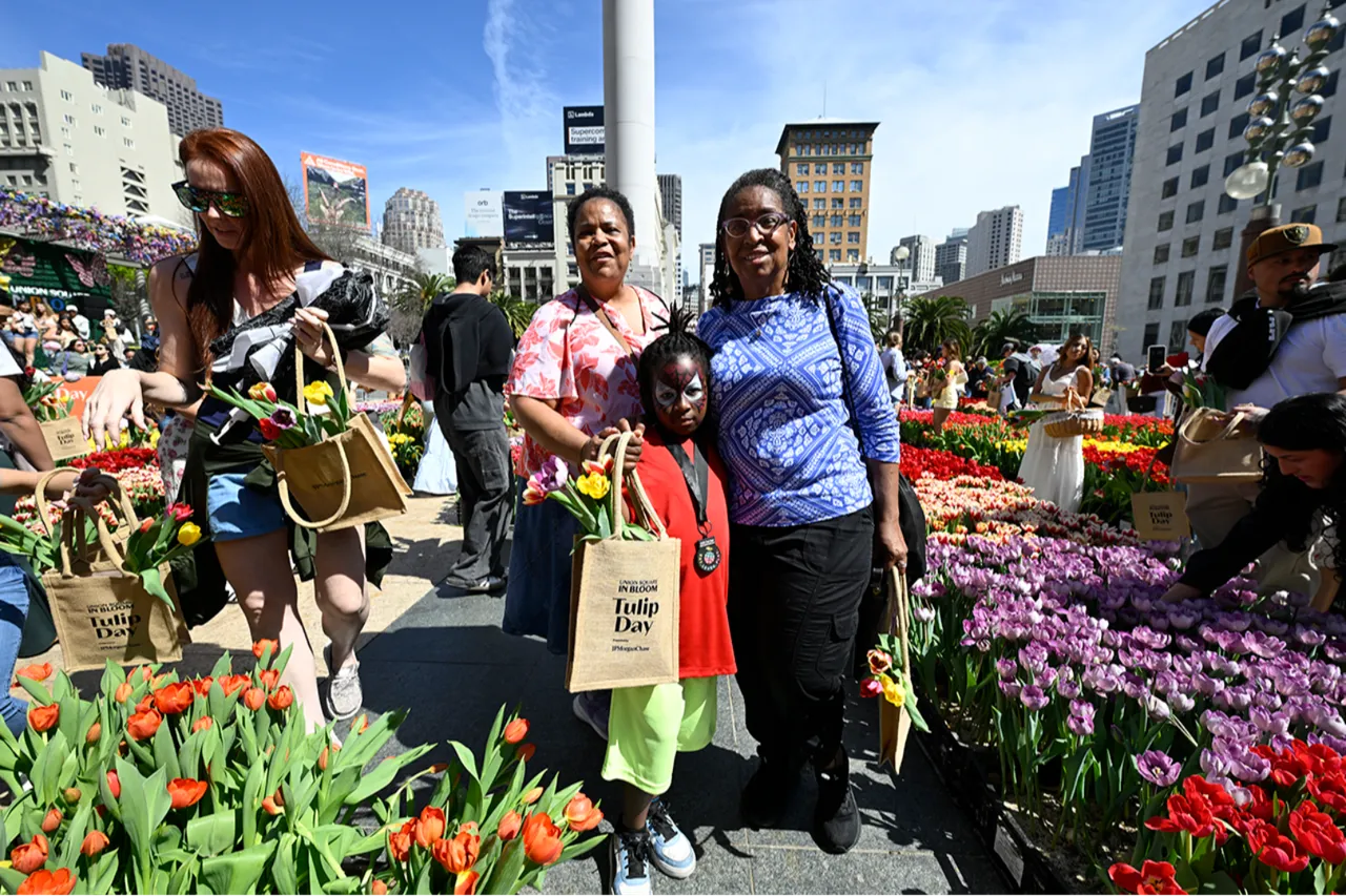 80 bin adet ücretsiz dağıtıldı: Kendi lalenizi seçin!