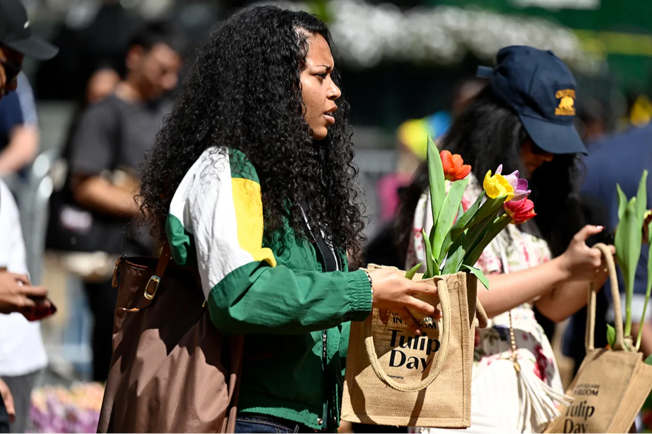 80 bin adet ücretsiz dağıtıldı: Kendi lalenizi seçin!