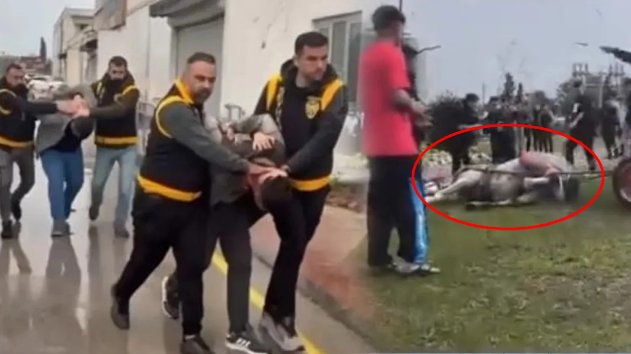 Adana'da atlara eziyet eden 2 zanlıya manidar ceza!
