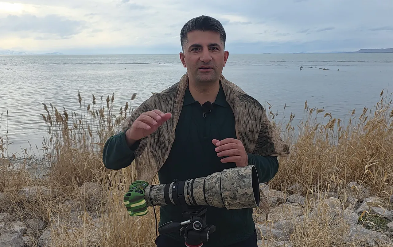 Allı turna döndü, baharı müjdeledi! Fotoğrafçılar Van Gölü'ne koşuyor