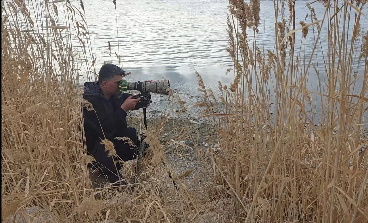 Allı turna döndü, baharı müjdeledi! Fotoğrafçılar Van Gölü'ne koşuyor