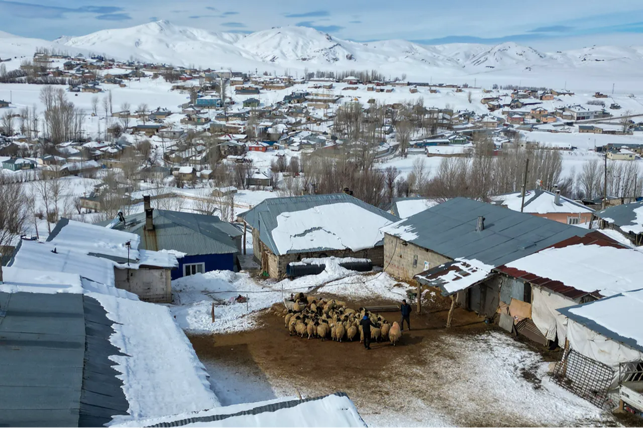 Bakanlığın küçükbaş hayvancılığı büyüten projesi: Köyümde yaşamak için bir 'sürü' nedenim var!