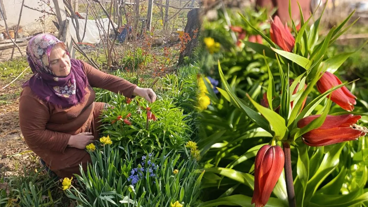 Koparmanın cezası 577 bin lira! Bu köyde evlerin bahçesini 