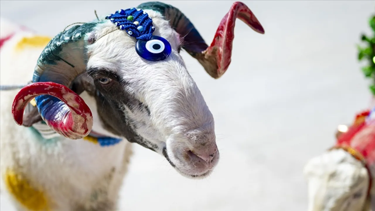 9 günlük tatil umudu Kurban'a kaldı! 2026 Kurban Bayramı ne zaman?