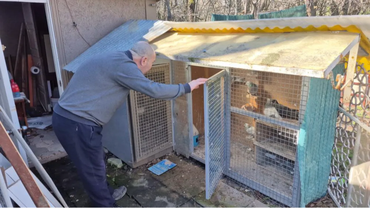 Bu resmen bir hastalık! Her gün 16 km yol gidiyor: Ev parası veren var