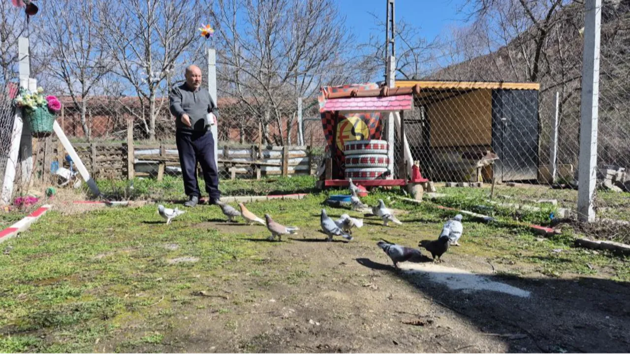 Bu resmen bir hastalık! Her gün 16 km yol gidiyor: Ev parası veren var