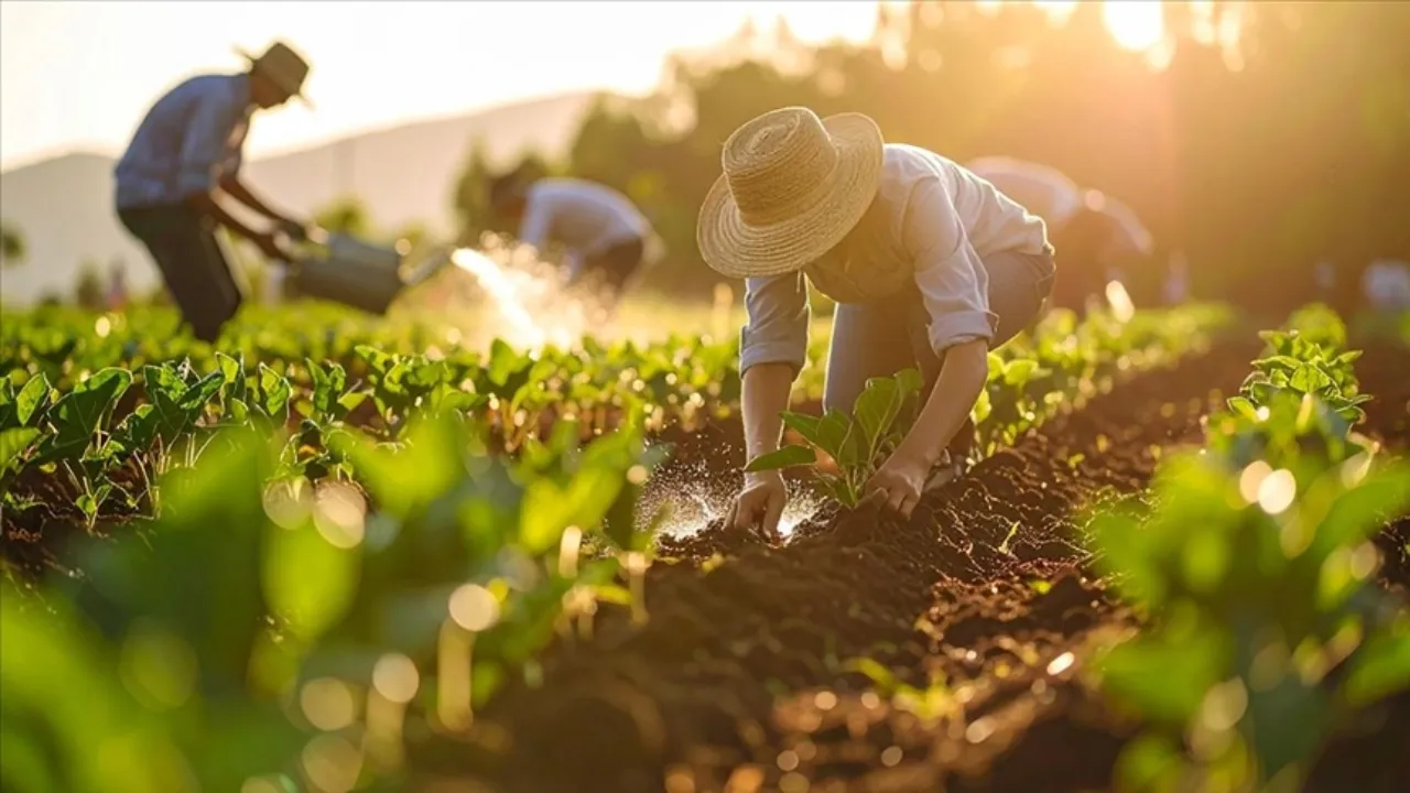 Fiyatlar yüzde 50 arttı! Hürmüz krizi gübreyi vurdu