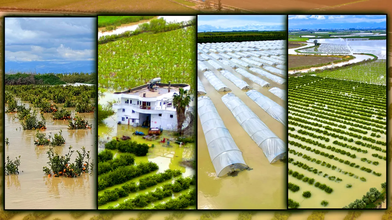 Mersin’de beşinci sel felaketi! 8 bin dönüm tarım arazisi suya gömüldü