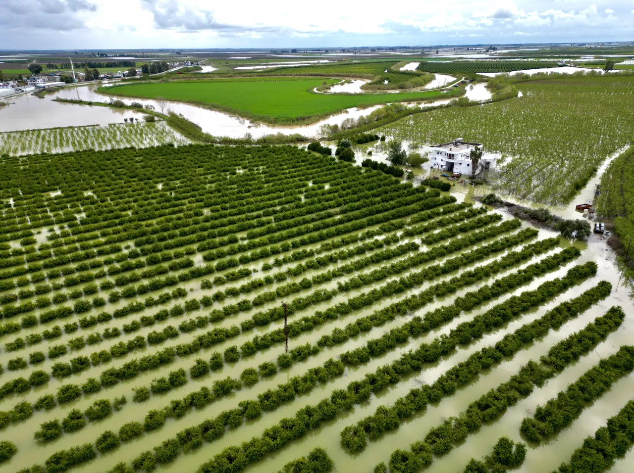 Mersin’de beşinci sel felaketi! 8 bin dönüm tarım arazisi suya gömüldü