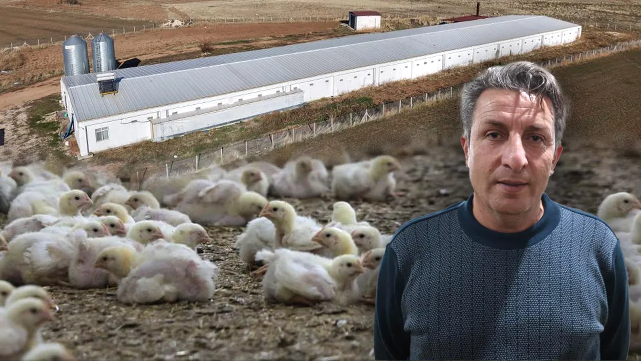 Devlet desteğiyle 10 yılda et kralı oldu! Önce büyükbaşla başladı, sonra tavuk çiftliği kurdu