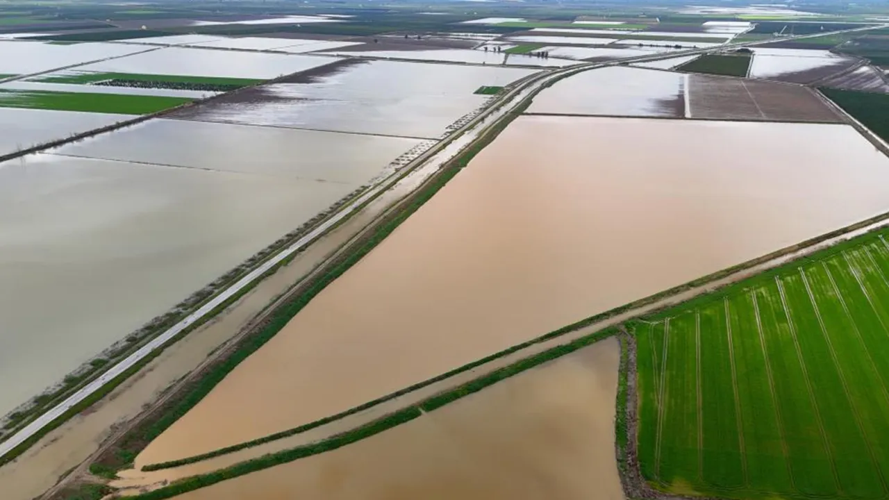 Tarımın başkenti sular altında kaldı! Çiftçinin zararı büyük