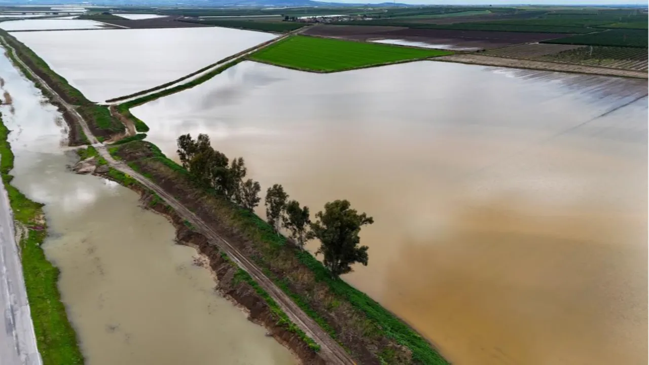 Tarımın başkenti sular altında kaldı! Çiftçinin zararı büyük