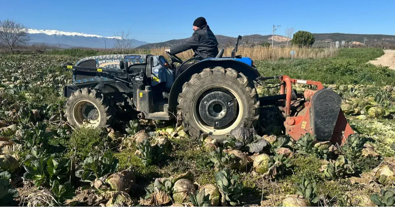 ÇİFTÇİNİN EMEĞİ TARLADA KALDI