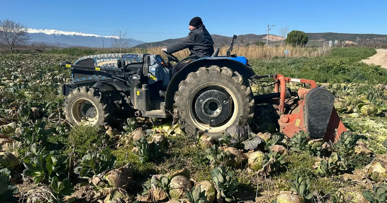 Tarlada çürüyor, pazarda cep yakıyor! Tarımda çarpıcı tablo