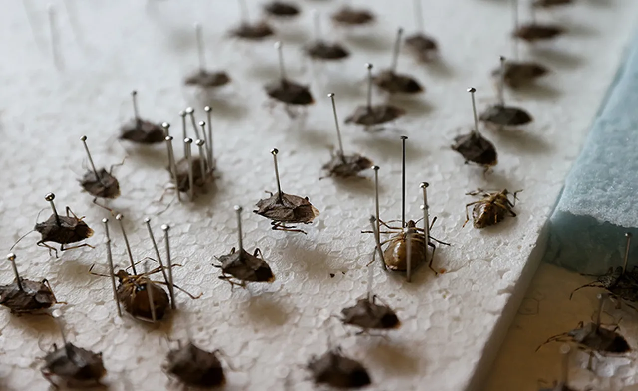 Trabzon’da 18 ilçede alarm! 52 bin evde yapıldı, 35 binine daha yapılacak