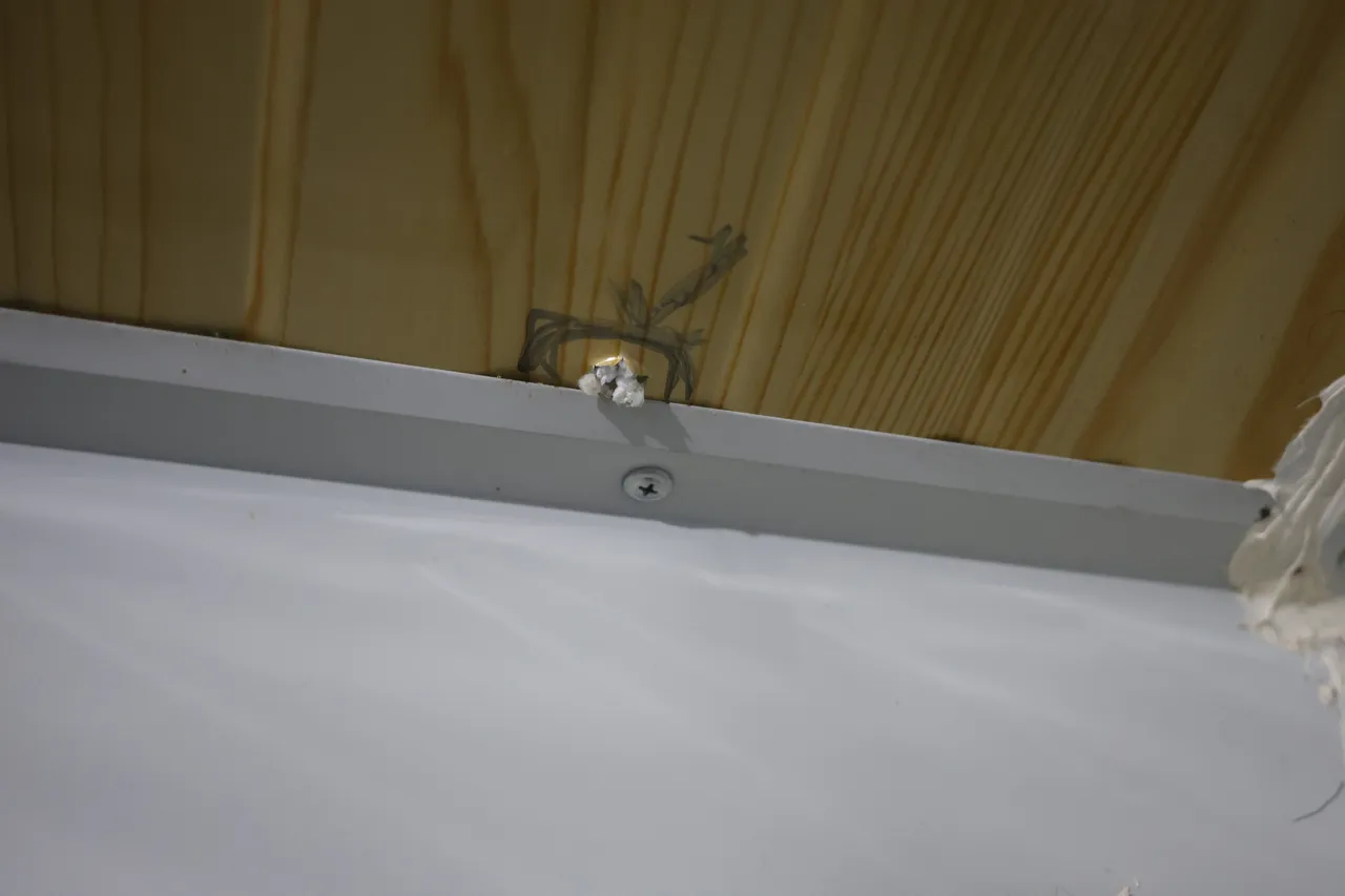 Bayram sabahı hayatının şokunu yaşadı! Yatağından ağrıyla uyandı… ‘Ölebilirdim’