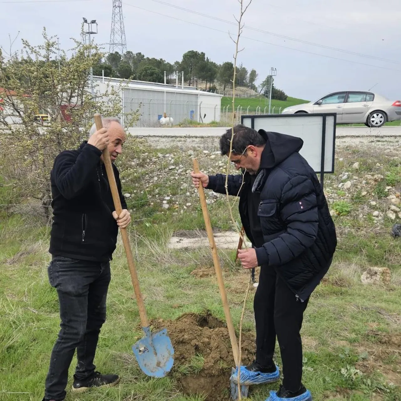 Denizli'de fidan dikim etkinliği! Sadece CHP'li başkan galoş giydi