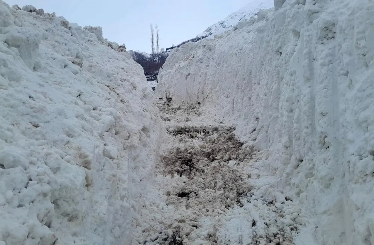Devasa kar kütleleri az kalsın köyü yutuyordu! İnsan boyunun 3 katını aştı, tüneller oluştu