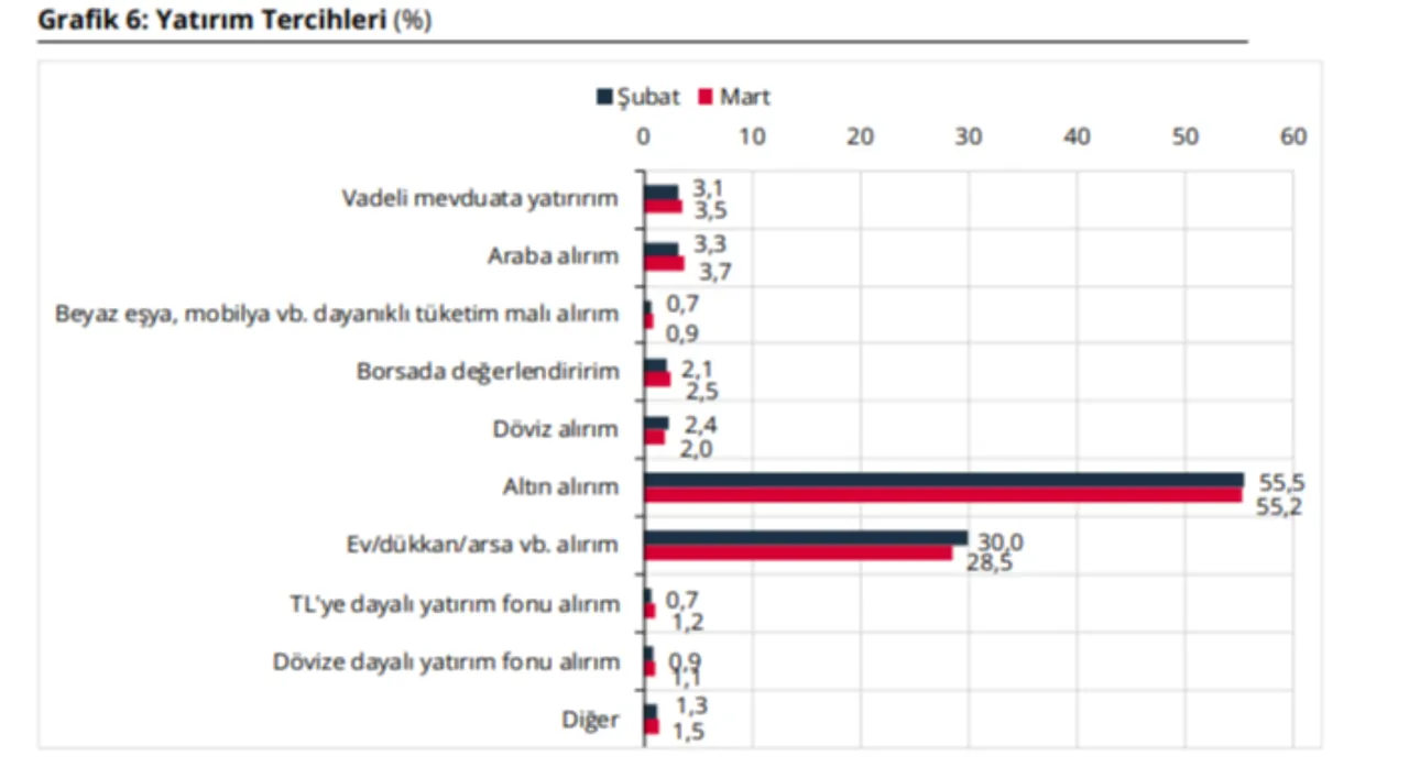 Paranız olsa neye yatırım yaparsınız? Her 2 kişiden 1'inin cevabı aynı