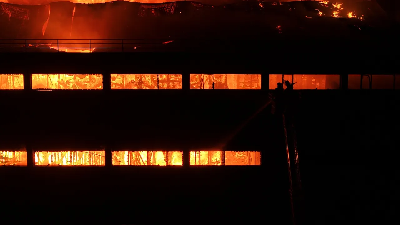 Trabzonda fındık fabrikası yanıyor! Alevler tüm binayı sardı