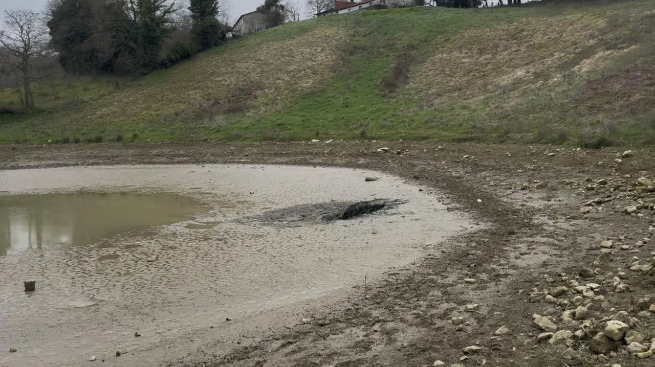 46 yıl sonra ortaya çıktı! Gölet suyu bir anda yeraltına indi