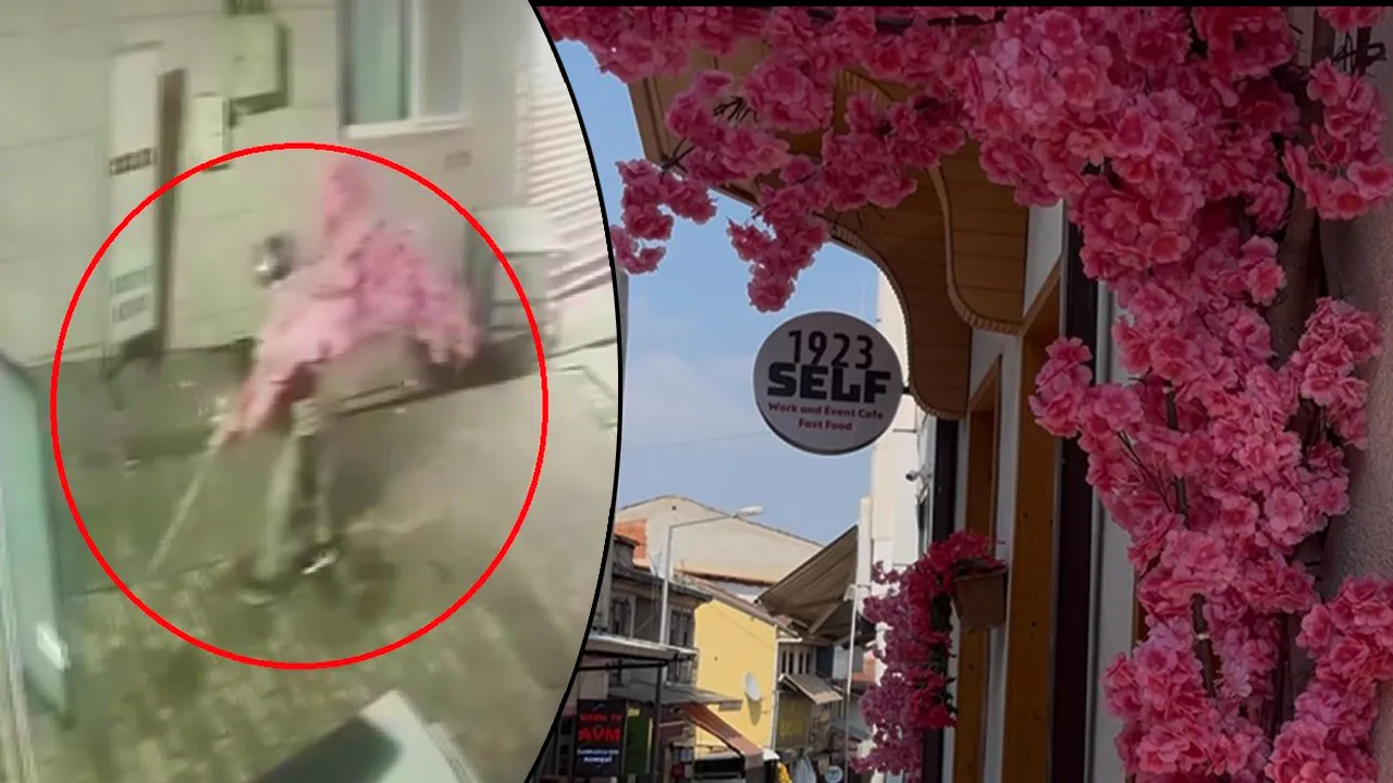 Değeri 15 bin lira! Montajı saatler, sökmesi dakikalar sürdü, bu da ağaç hırsızı 