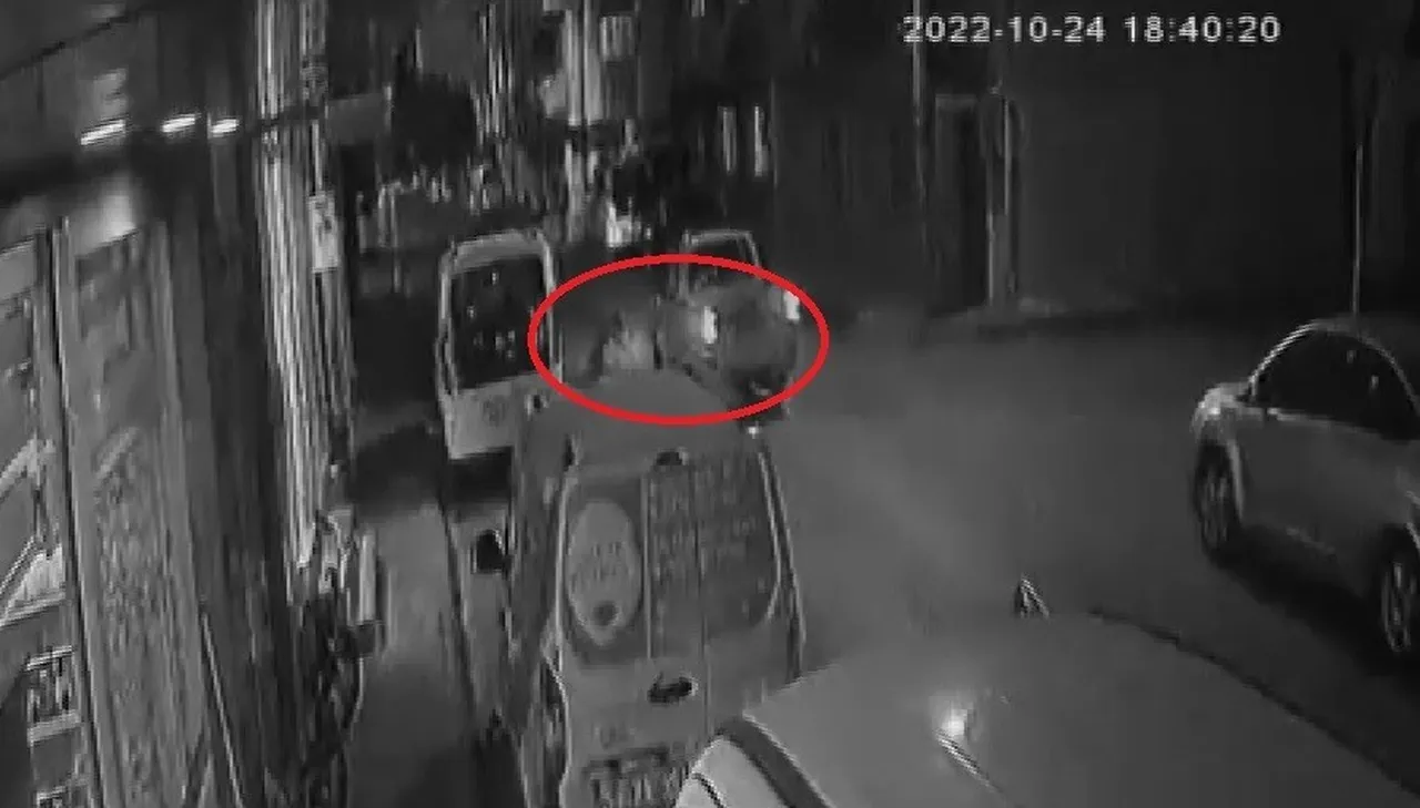 Köpekten kaçarken araba çarpmıştı! 3 kurum 10 milyon lira tazminat ödeyecek