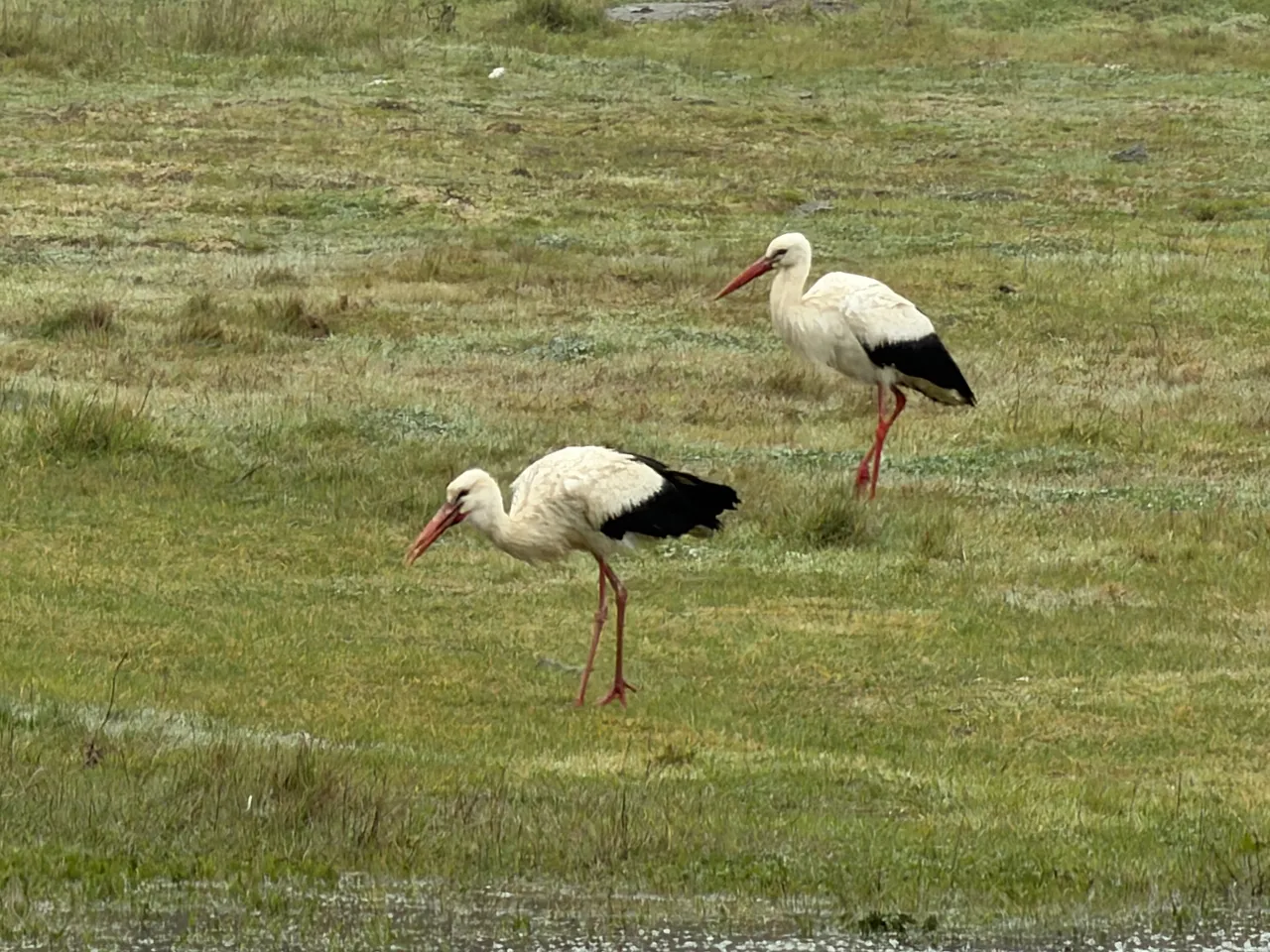 Ne işçi ne de beyin göçü! İstanbul’a her yıl 1 milyon tane geliyor