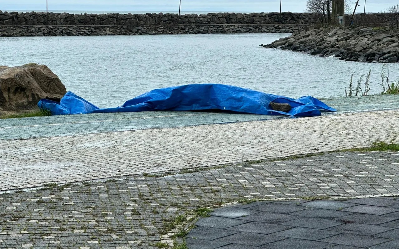 Ordu'da sahile insansız araç vurdu! Ekipler hemen müdahale etti